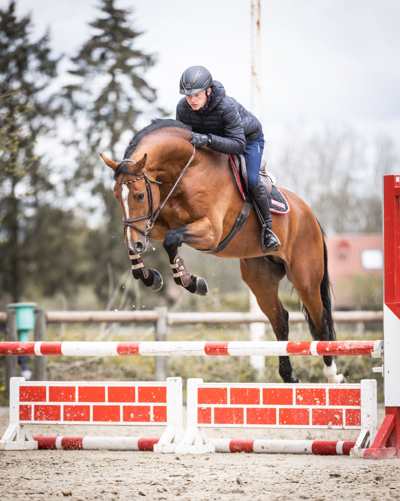 Training bei eisigen Temperaturen: Wann ist es zu kalt zum Reiten? 🌨️🐴