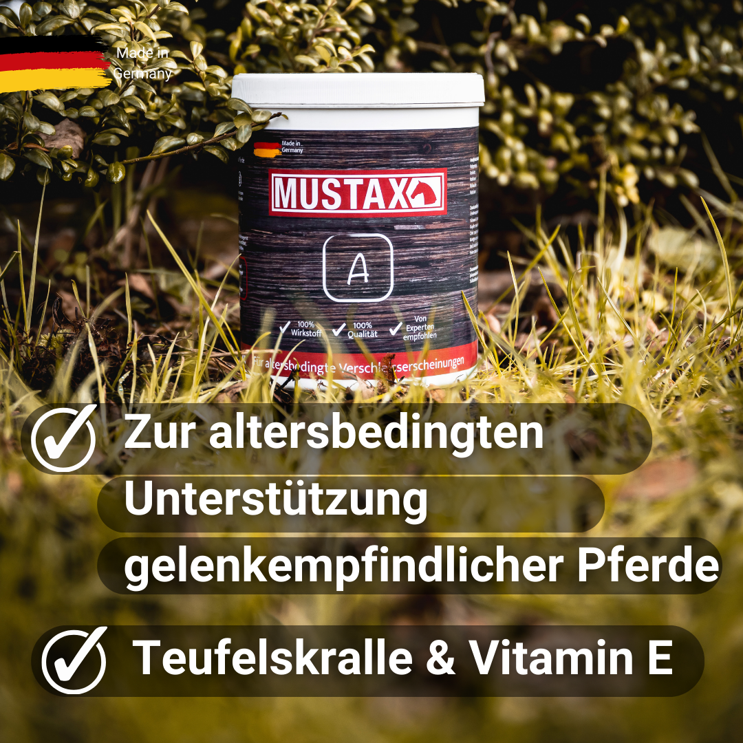 MUSTAX A, Arthrose Pferd, Pferd Gelenkprobleme, Teufelskralle Pferd, Spat, Gelenkprobleme Pferde, Ältere Pferde