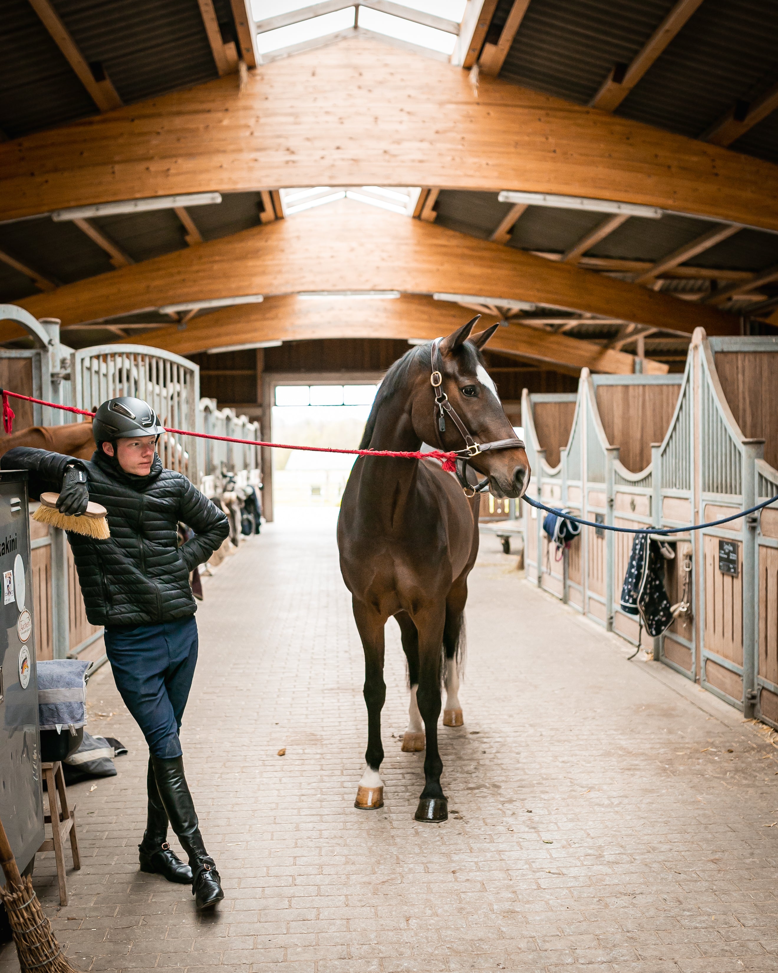 Rund um den Fellwechsel – Der Übergang zum Sommerfell! 🌞🐴