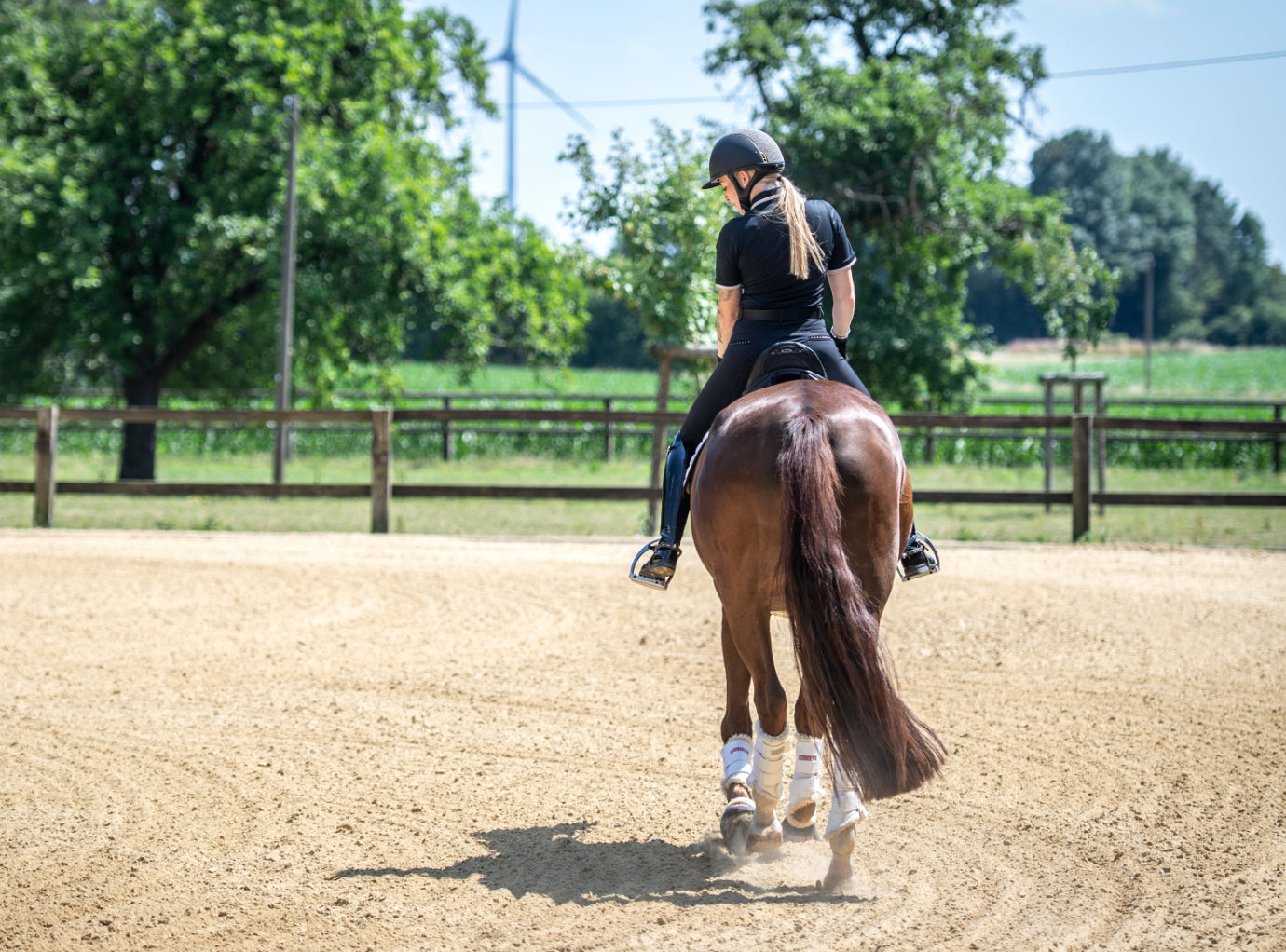 Sommerroutine: Training, Pflege und Ernährung deines Pferdes in der heißen Jahreszeit!🐎🤩