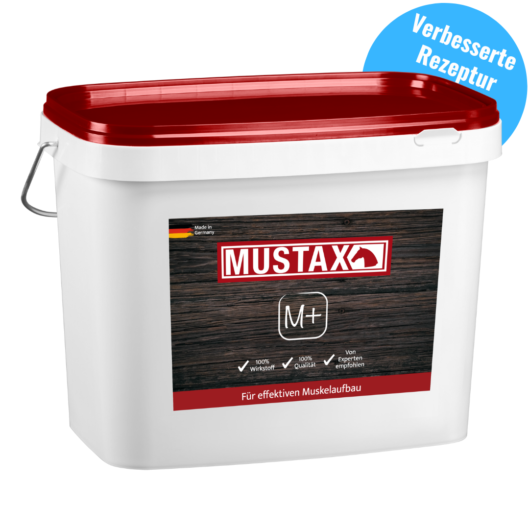 MUSTAX Muskel+