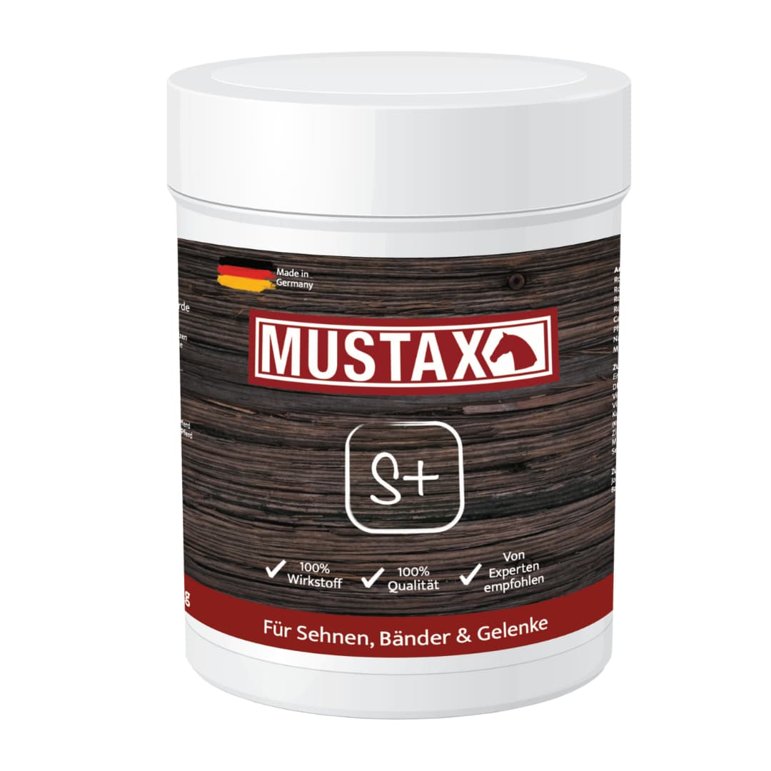 MUSTAX Sehnen+